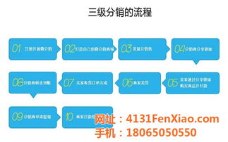 网加科技易站通 一站式网络推广教学与技术服务解析